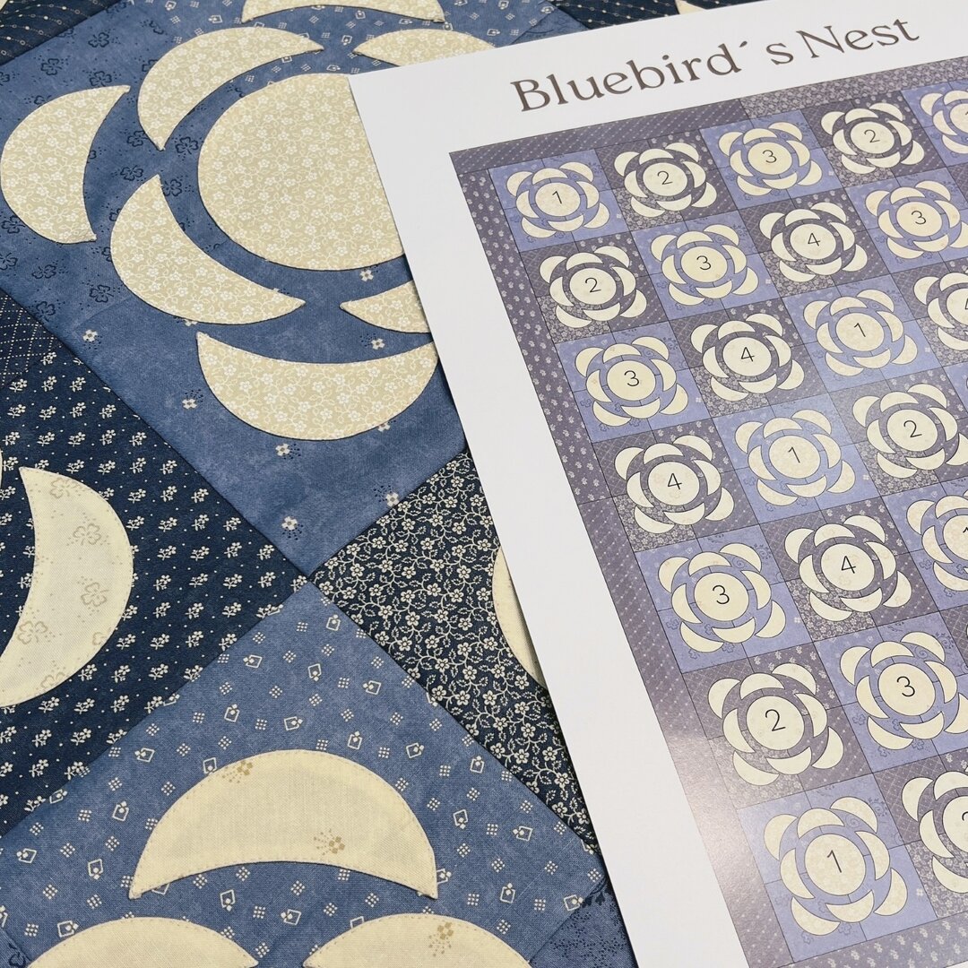 Manta Bluebird´s Nest